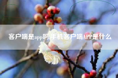 客户端是app吗,手机客户端APP是什么