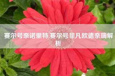 赛尔号奈诺里特,赛尔号非凡欧德奈瑞解析