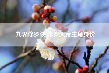 九界修罗诀,修罗天帝主角身份