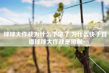 球球大作战为什么下架了,为什么快手直播球球大作战是黑屏