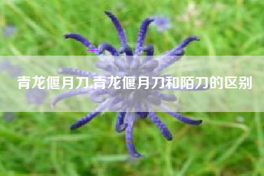 青龙偃月刀,青龙偃月刀和陌刀的区别