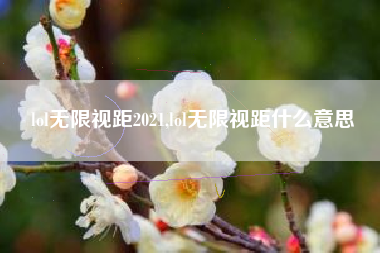 lol无限视距2021,lol无限视距什么意思