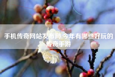 手机传奇网站发布网,今年有哪些好玩的传奇手游