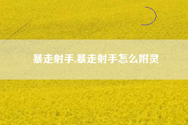 暴走射手,暴走射手怎么附灵