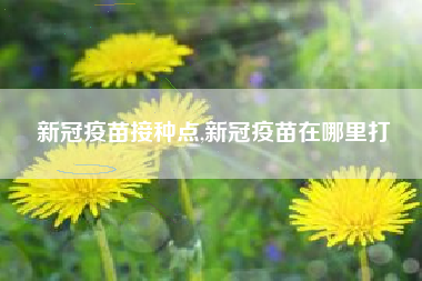 新冠疫苗接种点,新冠疫苗在哪里打