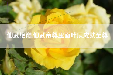 仙武绝巅,仙武帝尊里面叶辰成就至尊