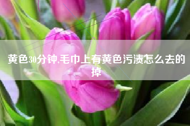 黄色30分钟,毛巾上有黄色污渍怎么去的掉
