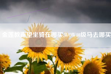 金莲教声望坐骑在哪买,WOW40级马去哪买