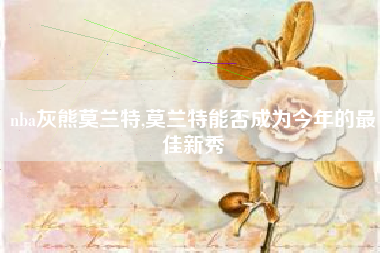 nba灰熊莫兰特,莫兰特能否成为今年的最佳新秀