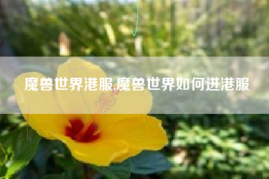 魔兽世界港服,魔兽世界如何进港服