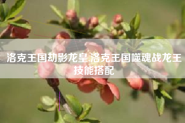 洛克王国劫影龙皇,洛克王国噬魂战龙王技能搭配