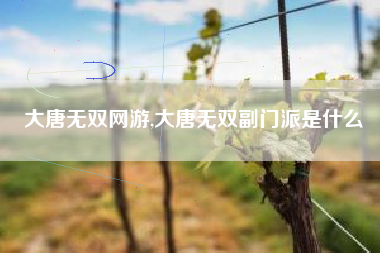 大唐无双网游,大唐无双副门派是什么