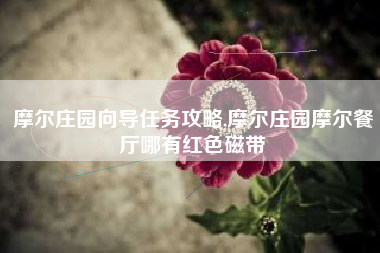 摩尔庄园向导任务攻略,摩尔庄园摩尔餐厅哪有红色磁带