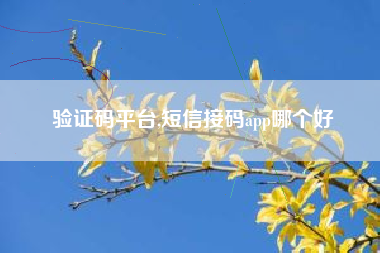 验证码平台,短信接码app哪个好