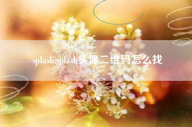 splash,splash头像二维码怎么找