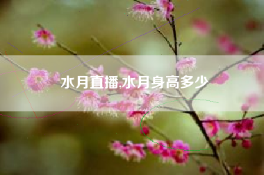水月直播,水月身高多少