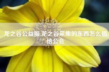 龙之谷公益服,龙之谷采集的东西怎么捐给公会