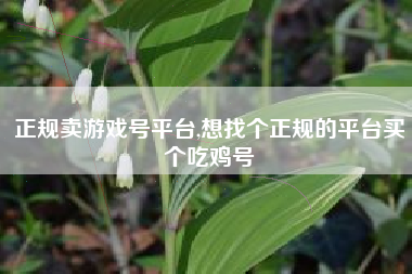 正规卖游戏号平台,想找个正规的平台买个吃鸡号