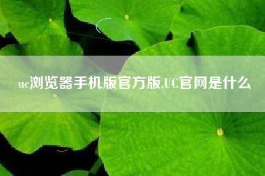 uc浏览器手机版官方版,UC官网是什么