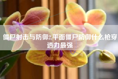 僵尸射击与防御2,平面僵尸防御什么枪穿透力最强