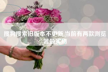 搜狗搜索旧版本不更新,当前有两款浏览器最实用