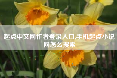 起点中文网作者登录入口,手机起点小说网怎么搜索