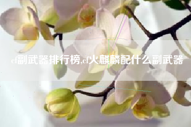 cf副武器排行榜,cf火麒麟配什么副武器