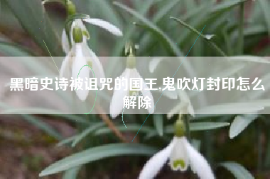 黑暗史诗被诅咒的国王,鬼吹灯封印怎么解除