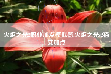 火炬之光2职业加点模拟器,火炬之光s2猫女加点