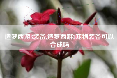 造梦西游3装备,造梦西游3宠物装备可以合成吗