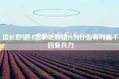信长野望14,信长之野望14为什么有时候不回复兵力