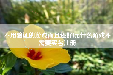 不用验证的游戏而且还好玩,什么游戏不需要实名注册