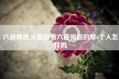 六道佩恩,火影忍者六道佩恩的那6个人怎样的