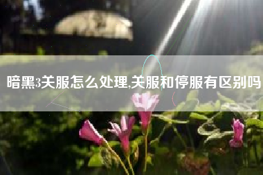 暗黑3关服怎么处理,关服和停服有区别吗