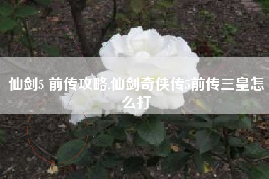 仙剑5 前传攻略,仙剑奇侠传5前传三皇怎么打