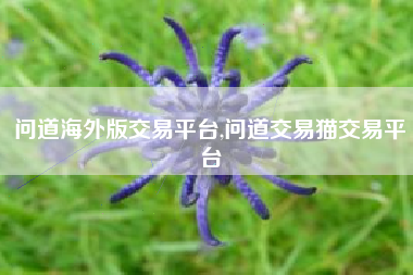 问道海外版交易平台,问道交易猫交易平台