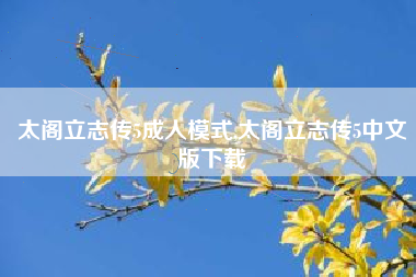 太阁立志传5成人模式,太阁立志传5中文版下载