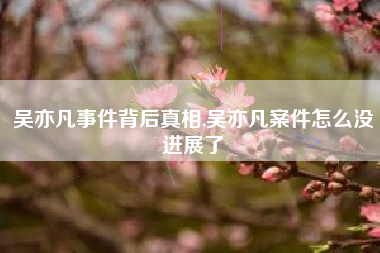 吴亦凡事件背后真相,吴亦凡案件怎么没进展了