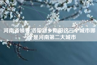 河南省领导,洛阳新乡南阳这三个城市哪一个是河南第二大城市
