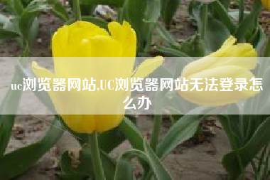 uc浏览器网站,UC浏览器网站无法登录怎么办