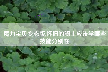 魔力宝贝变态版,怀旧的骑士应该学哪些技能分别在