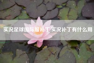 实况足球国际服补丁,实况补丁有什么用