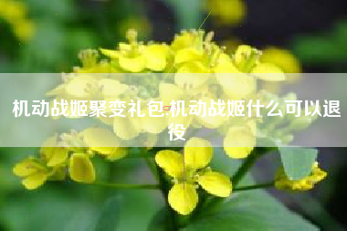 机动战姬聚变礼包,机动战姬什么可以退役