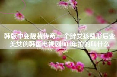 韩版中变靓装传奇,一个胖女孩整形后变美女的韩国电视剧2014年拍的叫什么
