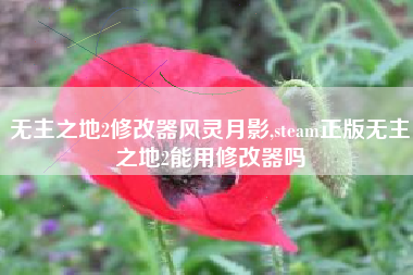 无主之地2修改器风灵月影,steam正版无主之地2能用修改器吗