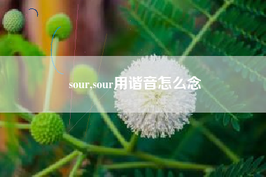 sour,sour用谐音怎么念