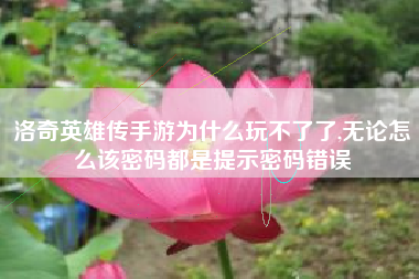 洛奇英雄传手游为什么玩不了了,无论怎么该密码都是提示密码错误