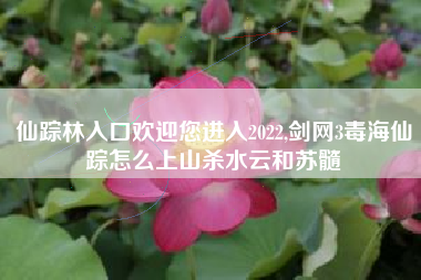 仙踪林入口欢迎您进入2022,剑网3毒海仙踪怎么上山杀水云和苏髓