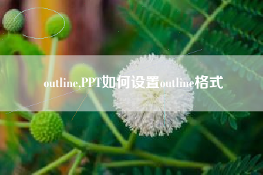 outline,PPT如何设置outline格式
