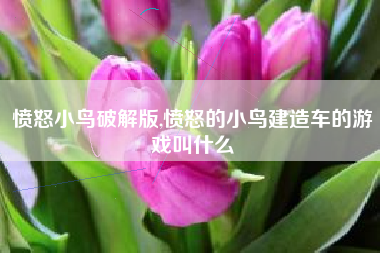 愤怒小鸟破解版,愤怒的小鸟建造车的游戏叫什么